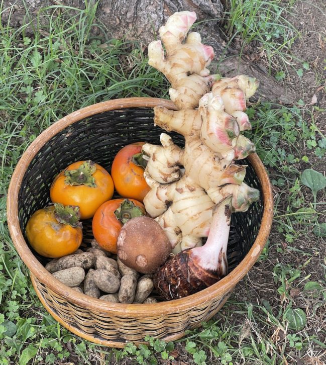 {{brizy_dc_image_alt imageSrc=