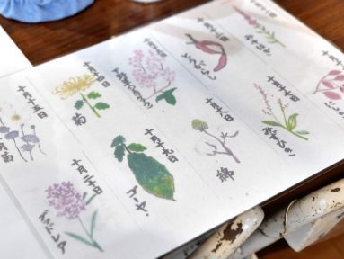 {{brizy_dc_image_alt imageSrc=